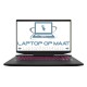 TongFang GM7RG7M - 17.3" QHD IPS 240Hz - nVidia RTX 3070 Ti - AMD Radeon 680M - AMD 6900HX
